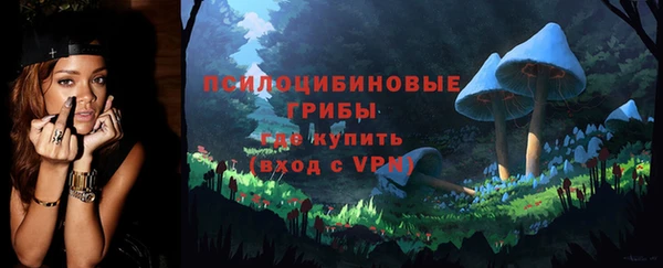 гидра Арсеньев