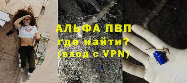 гидра Арсеньев