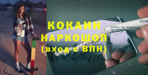 шишки Армянск
