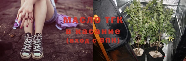 эйфоретик Аркадак