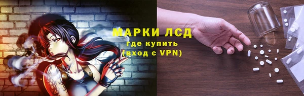 шишки Армянск