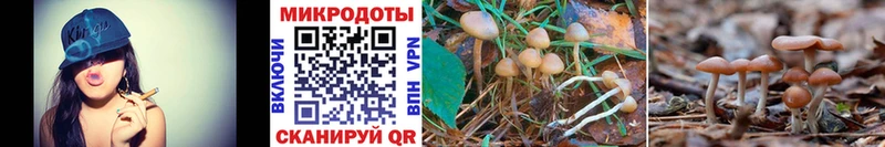 Псилоцибиновые грибы Magic Shrooms  blacksprut как зайти  Рыбинск  даркнет сайт 